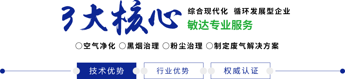 日韩扣b敏达环保科技（嘉兴）有限公司